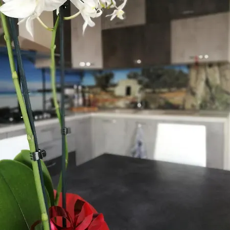 Apartment Casa Orlando,una Finestra Sul Jonio,il Piacere Di Ospitare Nel Salento. Torre San Giovanni Ugento