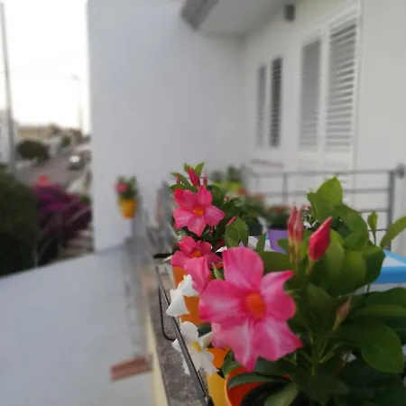 Casa Orlando,una Finestra Sul Jonio,il Piacere Di Ospitare Nel Salento. Apartment *